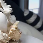 Nautilus 3* קליארי