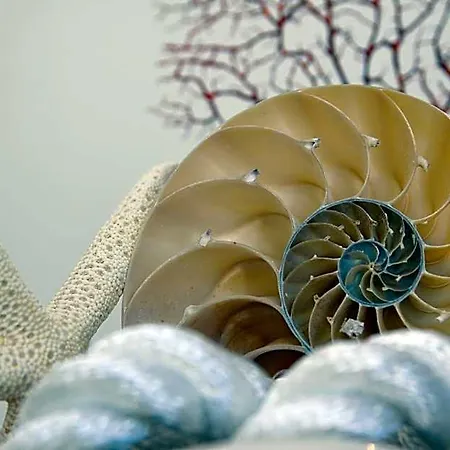 Nautilus Cagliari